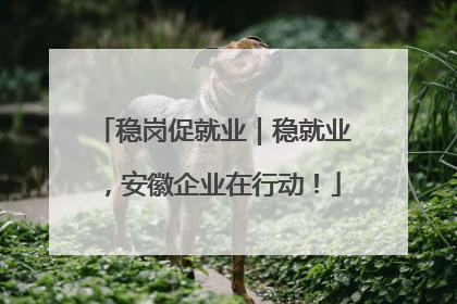 稳岗促就业｜稳就业，安徽企业在行动！